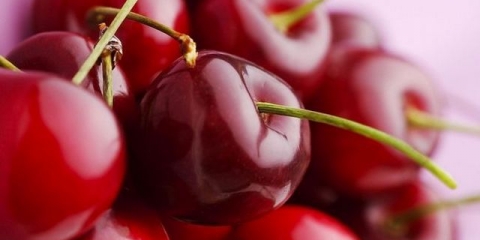 Najbolje sorte trešanja za moskovsku regiju